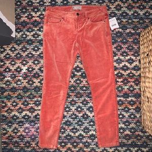 NWT Free People velour skinny jean